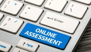 Domestic Taxes Department Online Assessment
